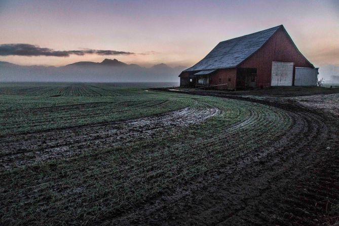 Skagit County Barn: Dike Road
