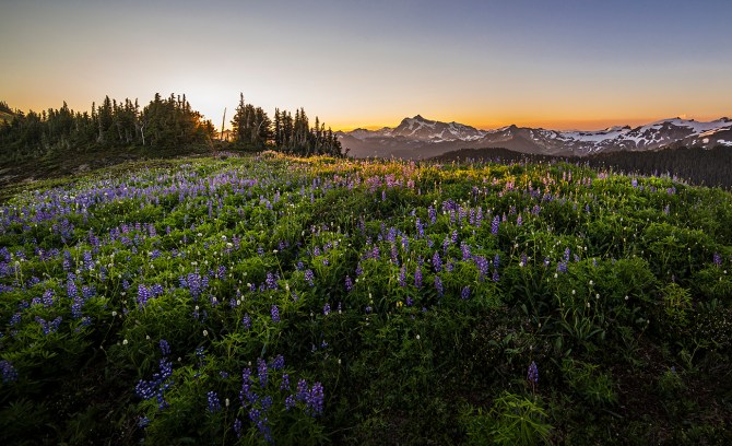 Mount Shuksan from Skyline Divide