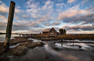 Padilla Bay at Sunset