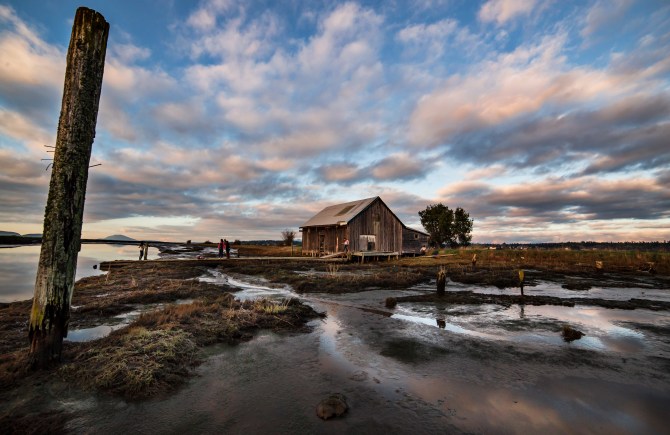 Padilla Bay at Sunset