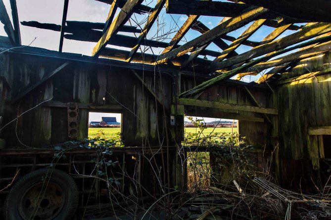 Barn along Fir Island Road, Skagit Valley