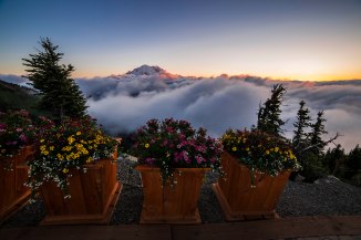 Crystal Resort 2015 6