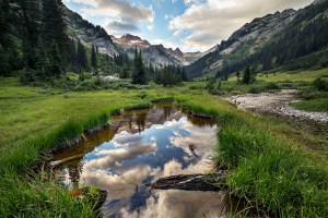 spider-meadows-112-a