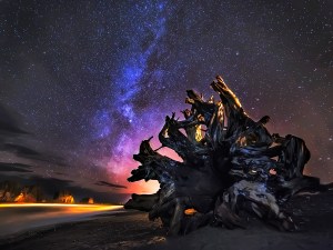 First Beach, Olympic Coast