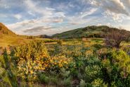 Methow Valley Wildflowers North Western Images Photos By Andy Porter
