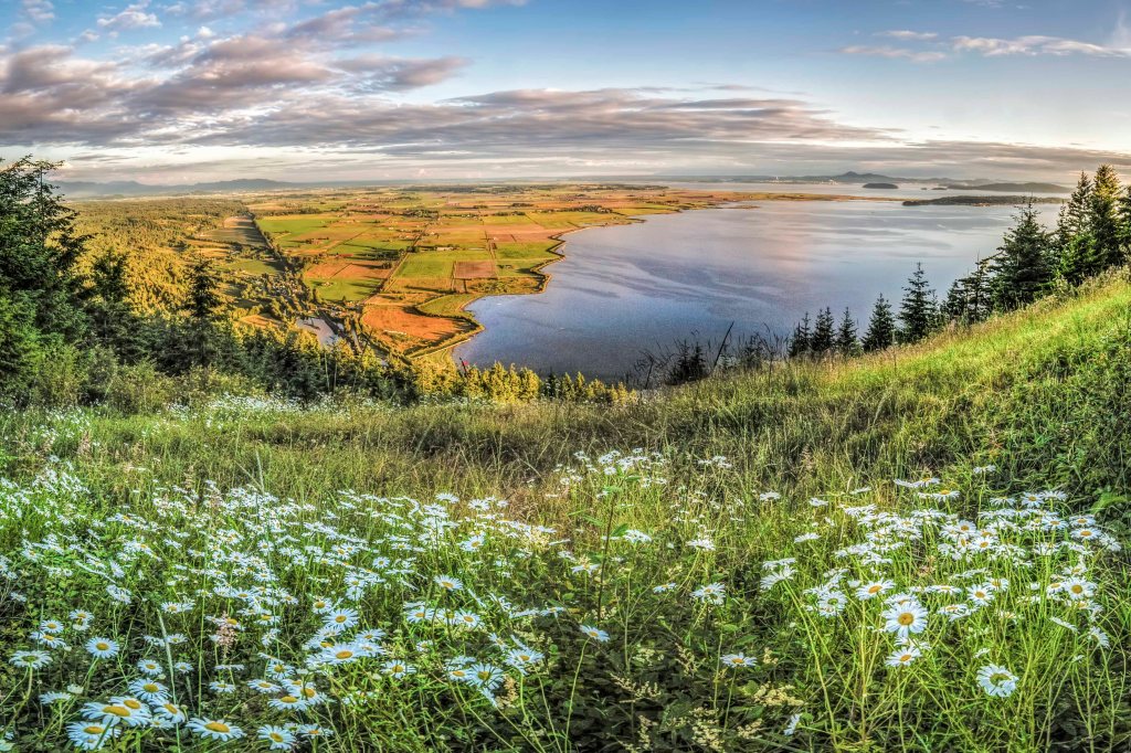 August - Samish Overlook