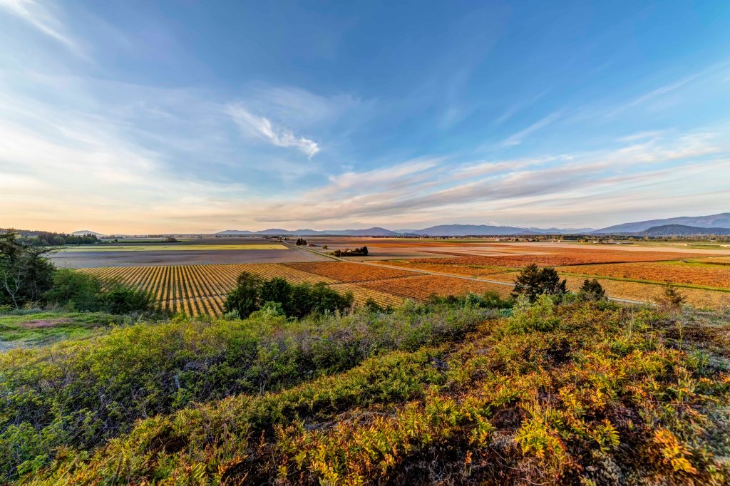 December - Skagit Valley